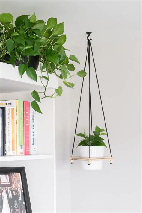 How To Hang A Planter From The Ceiling Toggle Bolt Installation Tips