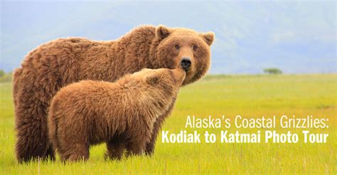 Alaska Photo Tour Photo Expeditions Natural Habitat Adventures