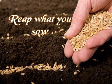 Lovefaithhope Youll Reap What You Sow