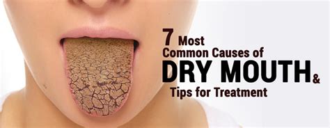 Chewing is the most efficient way to stimulate it causes muscles to compress the salivary glands, releasing saliva. 7 Most Common Causes of Dry Mouth & Tips for Treatment