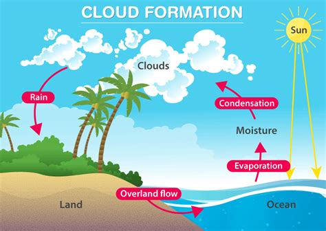 Rain Formation Of Clouds Water Cycle