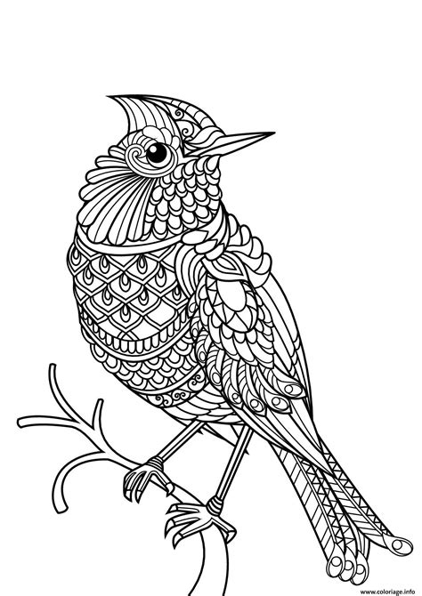 Coloriage Oiseau Difficile Adulte Mandala