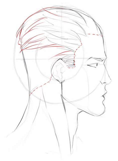 Head Side View Face Profile Drawing Profile Drawing Male Face Drawing