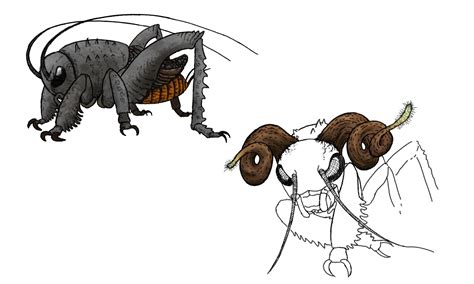 Cricket And Cordyceps Concept By Sanciusart On Deviantart Dragon