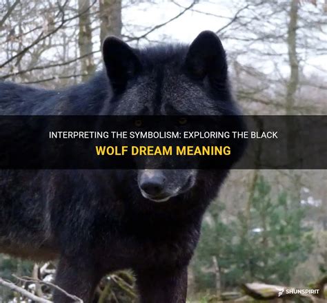 Interpreting The Symbolism Exploring The Black Wolf Dream Meaning