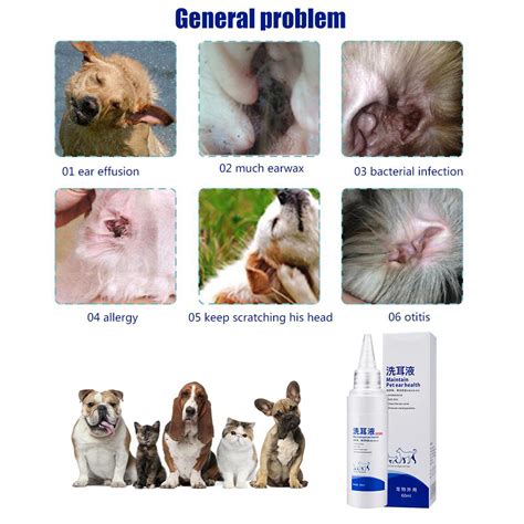 Cat Ear Yeast Infection Vs Mites Cat Meme Stock Pictures And Photos