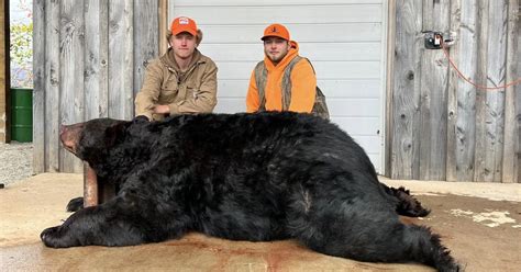 Photos Hunter Harvests Record Breaking Black Bear Meateater Conservation