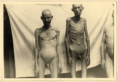Nude Men Concentration Camp Telegraph