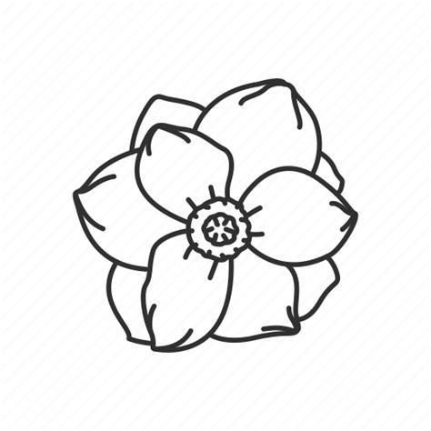 Mississippi Flower Drawing