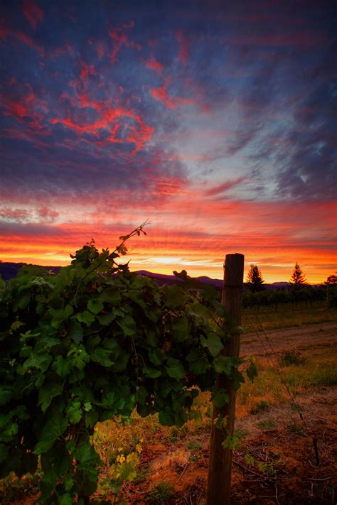 Immagini Belle Natura Orizzonte Montagna Nube Cielo Alba