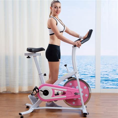 M e a s u r e m e n t s : Everlast M90 Indoor Cycle Reviews / CycleOps Pro 300PT ...