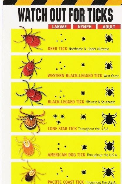 Where can i have titers done? GLWR Medical Corner: Ticks
