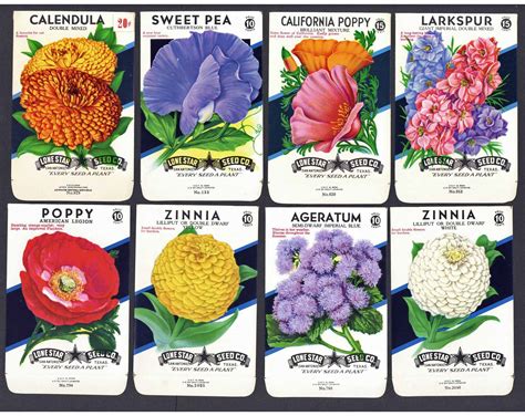 A Collection Of 15 Vintage Flower Seed Packets Thelabelman