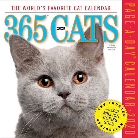 365 Cats 2020 Page A Day Calendar By Workman Publishing Kittery