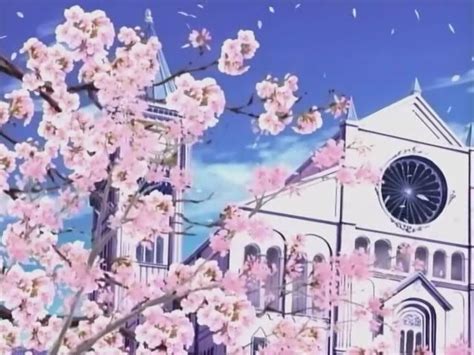 Cherry Blossom Festival Ohshc Anime Amino