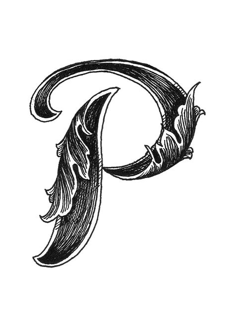 The Letter P Is Made Up Of Feathers And Has Been Drawn In Black Ink On