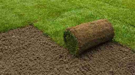 How To Lay Turf Lawn Preparation Simple Guide