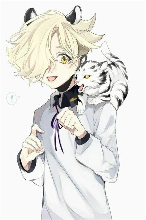 Hidase Wiki ~kawaii Neko Life~ Amino