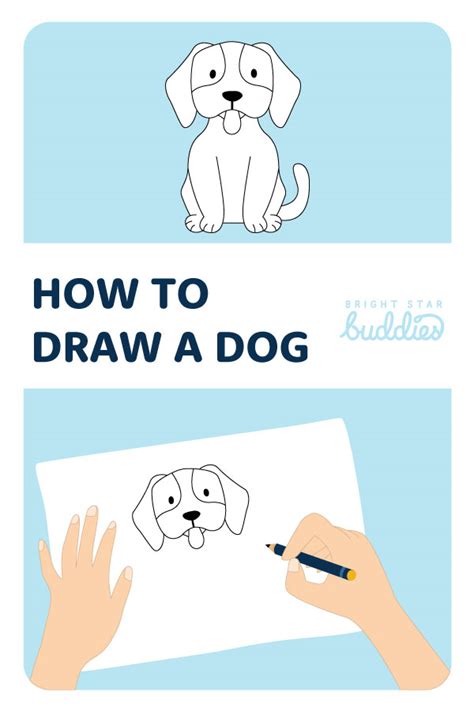 How To Draw A Dog Step By Step Dog Drawing Guide For Kids Bsb