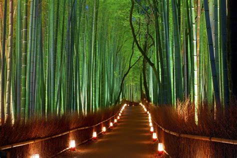 Sagano Bamboo Forest Wallpapers Wallpaper Cave