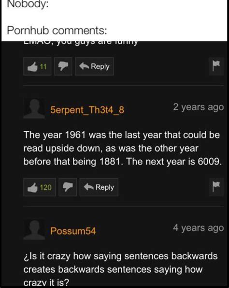 Pornhub Comments Are Awesome Rmemes