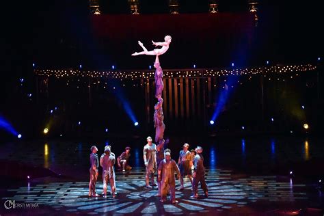 Cirque Du Soleil Quidam The Show Pr Intre Randuri