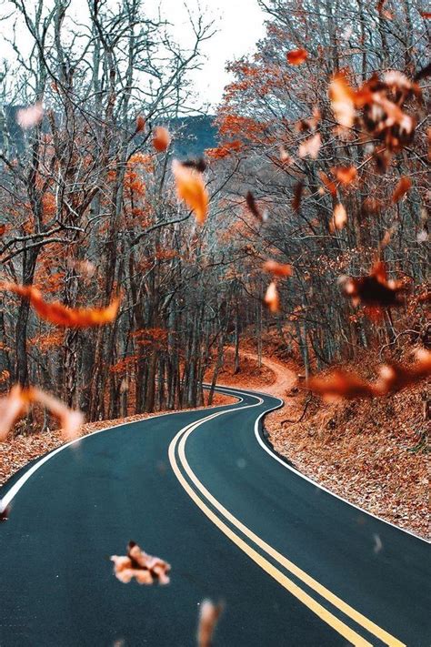 18 Pinterest Autumn Inspirasi Terbaru