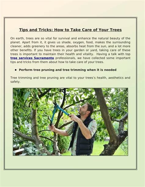 Ppt What Are The Ideas For Preventing Trees Diseases And Caring For