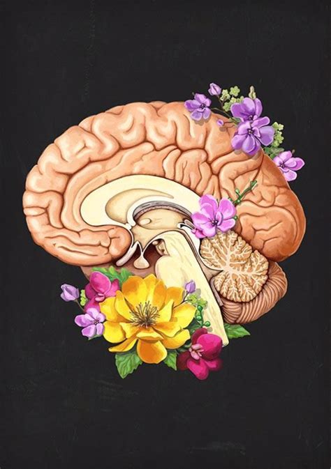 Brain Anatomy Ii Floral Black Floral Brain Brain Art Anatomy Art