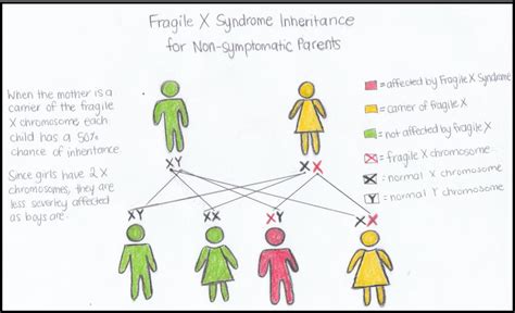 Fragile X Syndrome On Emaze