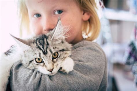 Bezdomne koty leczą dzieci W Ciechanowie powstało wyjątkowe miejsce