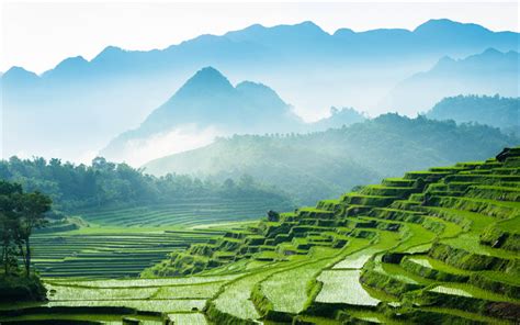 Download Wallpapers Vietnam 4k Rice Fields Mountains Rice