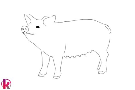 Schwein Ausmalbild Schwein Zum Ausmalen Kribbelbunt
