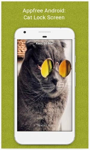 Cat Lock Screen Pattern And Passcode For Android Apk