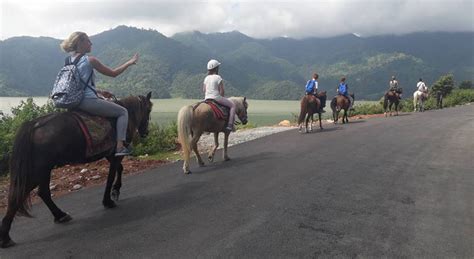 In addition to being an important pilgrim center for malayalis and tamilians, agasthyakoodam is a great trekking destination. Nepal Horse Trek - Nepal horse riding trekking holidays ...