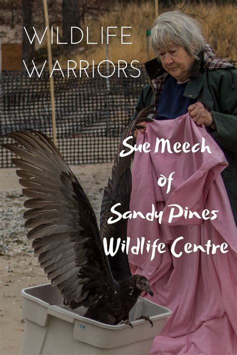 Wildlife Warriors Sue Meech Of Sandy Pines Wildlife Centre This