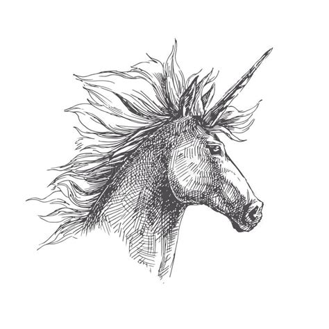 Vector Vintage Illustration Of Unicorn In Engraving Style Hand Stock