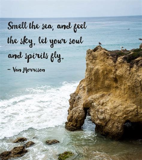 205 Remarkable Beach Quotes And Captions That Inspire You Bayart