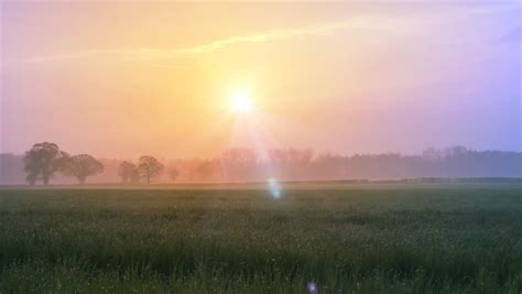 Early Morning Misty Sunrise Over Fields Stock Footage Video 6144305