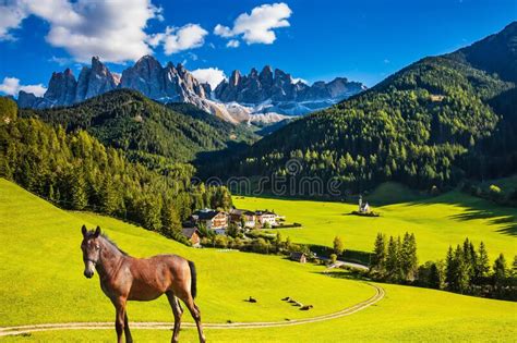 4474 Scenic Eco Tourism Alps Photos Free And Royalty Free Stock Photos