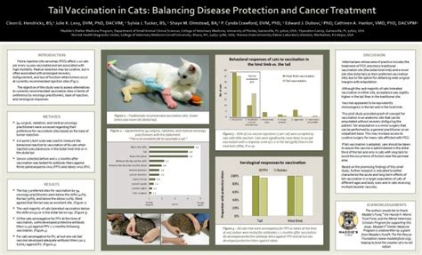 Tail Vaccinations In Cats Balancing Disease Protection And Cancer