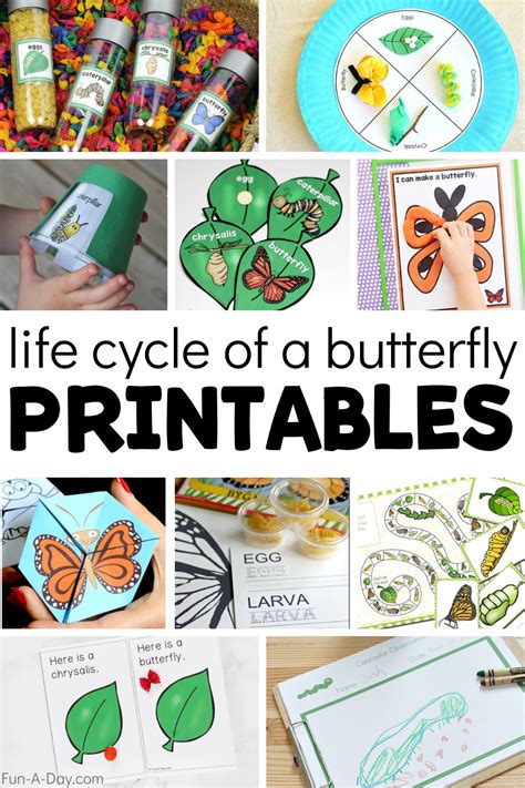 These Fun Butterfly Life Cycle Printables Are Perfect As Part Of Your