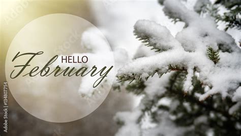Hello February Wallpaper Fir Tree Covered With Melting Snow Stock