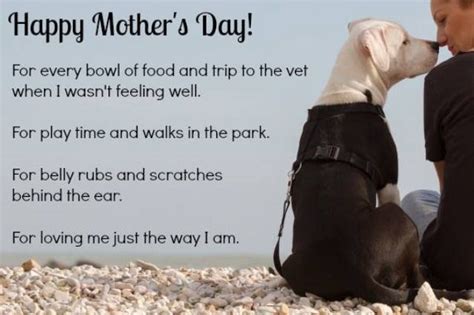 Happy Mothers Day To All The Pet Moms Pet Mom Happy Mothers Happy
