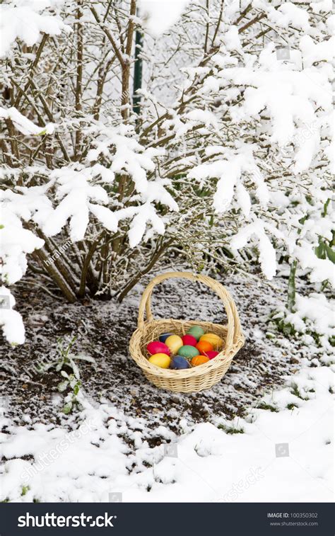 Easter Eggs In Snow Stock Photo 100350302 Shutterstock