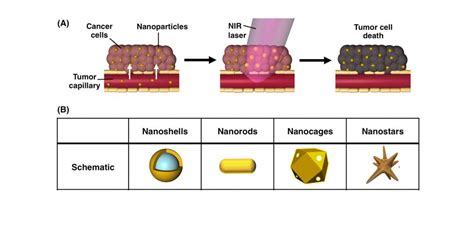 Gold Nanoparticle Mediated Photothermal Therapy