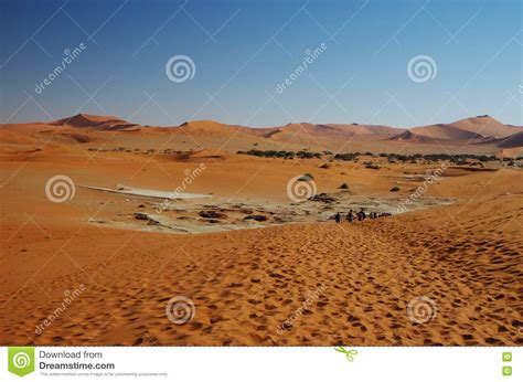 Red Dunes Of Namib Desert Stock Image Image Of Sand 72671605