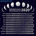 Calendario lunar del embarazo 2020 para saber si tu bebé es niño o niña