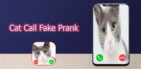 Download Cat Fake Video Call Prank Free For Android Cat Fake Video
