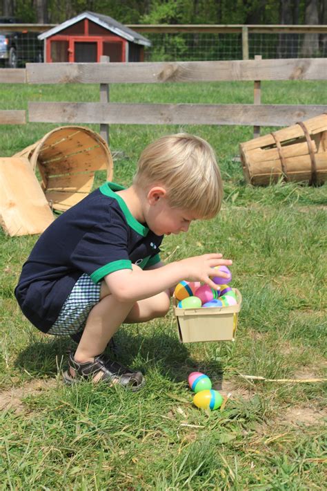 Mommas Fun World Bunnyland Funbutlers Orchard